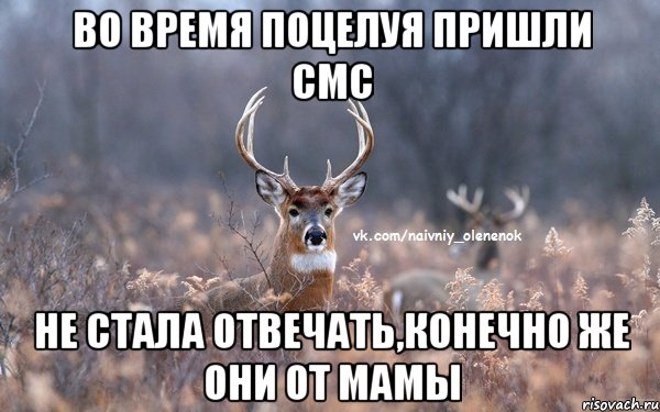 Во время поцелуя пришли смс Не стала отвечать,конечно же они от МАМЫ, Мем  Наивный Олененок