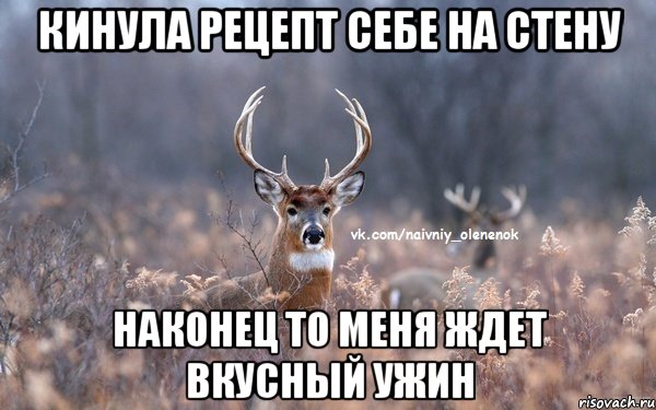 Кинула рецепт себе на стену Наконец то меня ждет вкусный ужин, Мем  Наивный Олененок