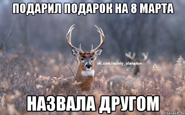 Подарил подарок на 8 марта Назвала другом