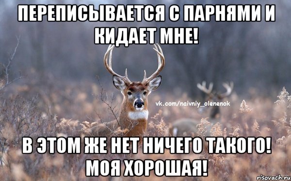 Переписывается с парнями и кидает мне! В этом же нет ничего такого! Моя хорошая!, Мем  Наивный Олененок
