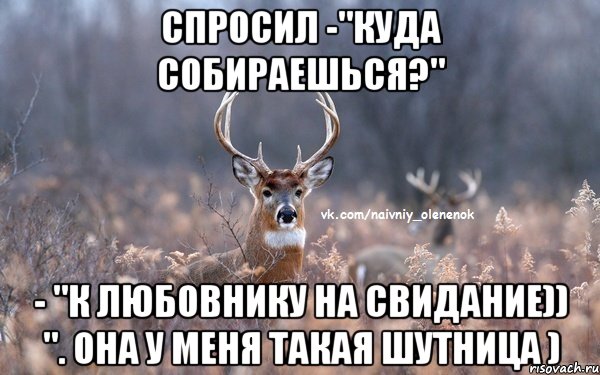 спросил -"куда собираешься?" - "к любовнику на свидание)) ". Она у меня такая шутница ), Мем  Наивный Олененок