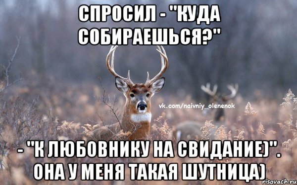 спросил - "Куда собираешься?" - "к любовнику на свидание)". она у меня такая шутница), Мем  Наивный Олененок