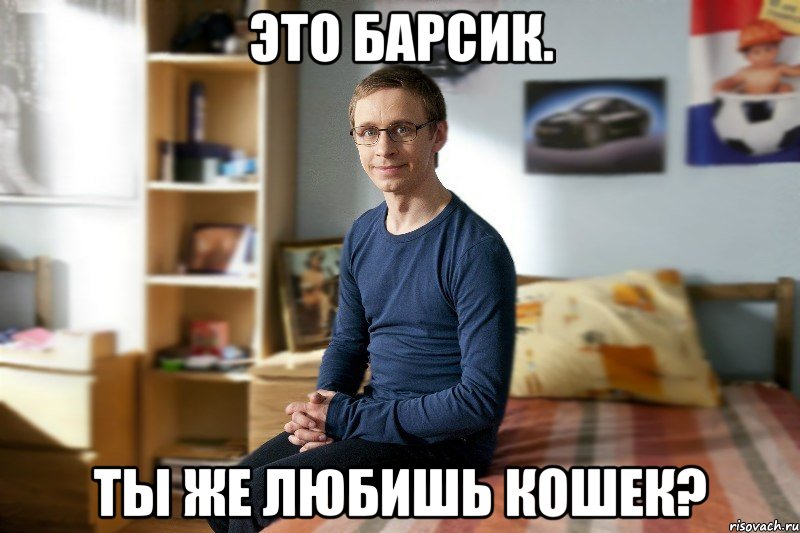 Это Барсик. Ты же любишь кошек?