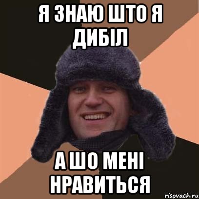 я знаю што я дибіл а шо мені нравиться, Мем навальный