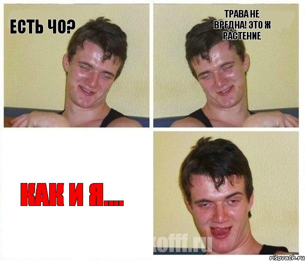 ЕСТЬ ЧО? ТРАВА НЕ ВРЕДНА! ЭТО Ж РАСТЕНИЕ КАК И Я....
