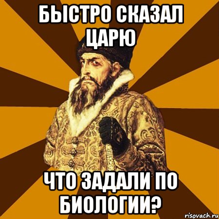 быстро сказал царю что задали по биологии?, Мем Не царское это дело