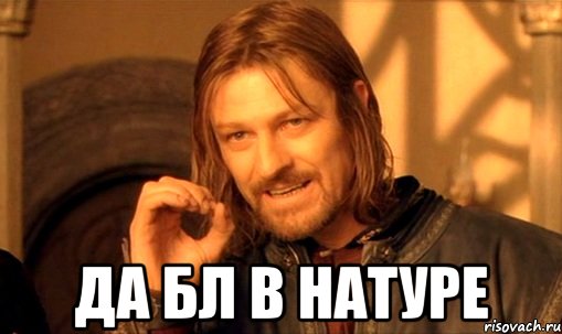  Да бл в натуре, Мем Нельзя просто так взять и (Боромир мем)