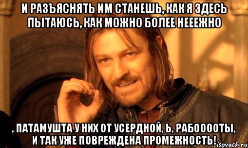 И разъяснять им станешь, как я здесь пытаюсь, как можно более нееежно , патамушта у них от усердной, Ь, рабооооты, и так уже повреждена промежность!, Мем Нельзя просто так взять и (Боромир мем)