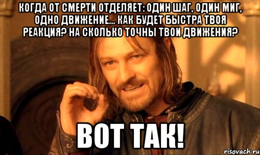 Когда от смерти отделяет: один шаг, один миг, одно движение... Как будет быстра твоя реакция? На сколько точны твои движения? Вот так!, Мем Нельзя просто так взять и (Боромир мем)