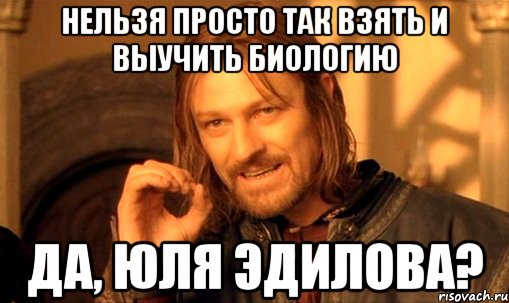 Нельзя просто так взять и выучить биологию Да, Юля Эдилова?, Мем Нельзя просто так взять и (Боромир мем)