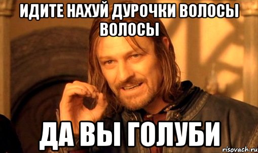 идите нахуй дурочки волосы волосы да вы голуби, Мем Нельзя просто так взять и (Боромир мем)