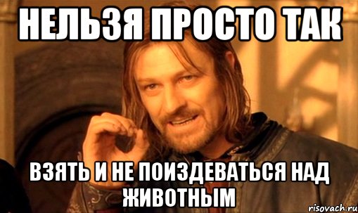 нельзя просто так взять и не поиздеваться над животным, Мем Нельзя просто так взять и (Боромир мем)