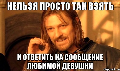 Нельзя просто так взять и ответить на сообщение любимой девушки, Мем Нельзя просто так взять и (Боромир мем)