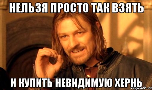 Нельзя просто так взять И купить невидимую хернь, Мем Нельзя просто так взять и (Боромир мем)