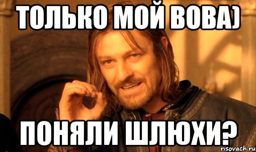 Только мой Вова) Поняли шлюхи?, Мем Нельзя просто так взять и (Боромир мем)