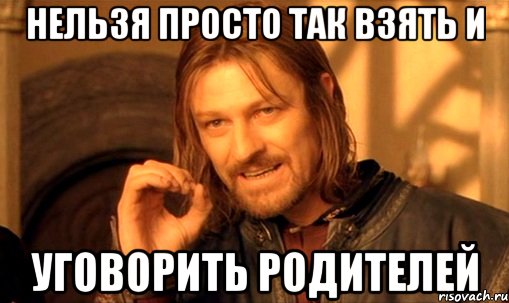 нельзя просто так взять и уговорить родителей, Мем Нельзя просто так взять и (Боромир мем)