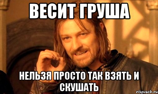 весит груша нельзя просто так взять и скушать, Мем Нельзя просто так взять и (Боромир мем)