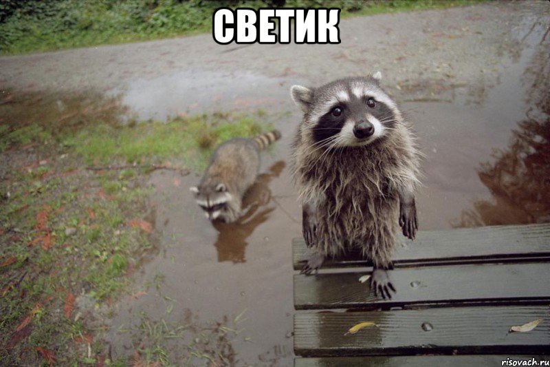Светик 