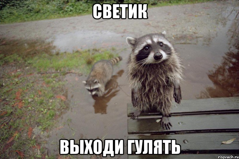 Светик Выходи гулять