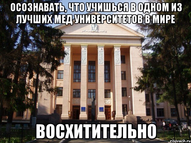 Осознавать, что учишься в одном из лучших мед университетов в мире Восхитительно