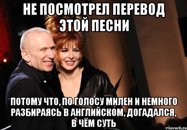 не посмотрел перевод этой песни потому что, по голосу милен и немного разбираясь в английском, догадался, в чём суть, Мем нонтипикмиленфан 1
