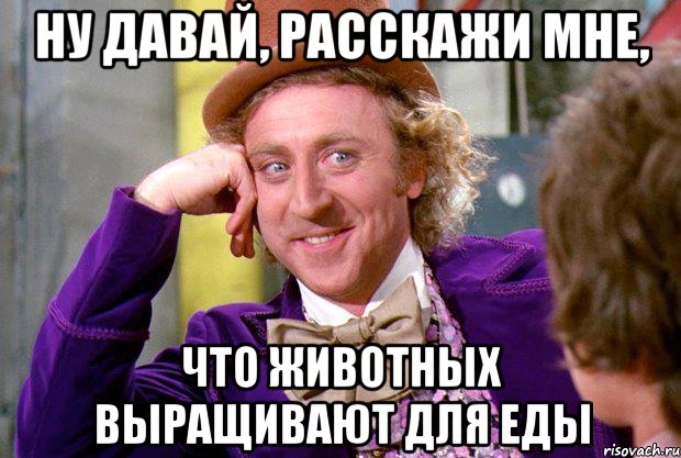 НУ ДАВАЙ, РАССКАЖИ МНЕ, ЧТО ЖИВОТНЫХ ВЫРАЩИВАЮТ ДЛЯ ЕДЫ, Мем Ну давай расскажи (Вилли Вонка)