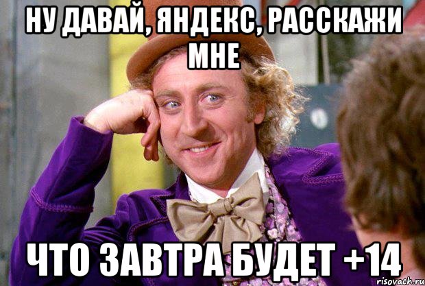 Ну давай, Яндекс, расскажи мне Что завтра будет +14, Мем Ну давай расскажи (Вилли Вонка)