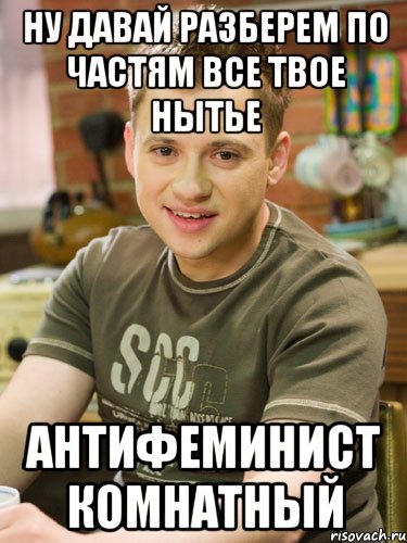ну давай разберем по частям все твое нытье антифеминист комнатный, Мем Ну давай разберем по частям тобо