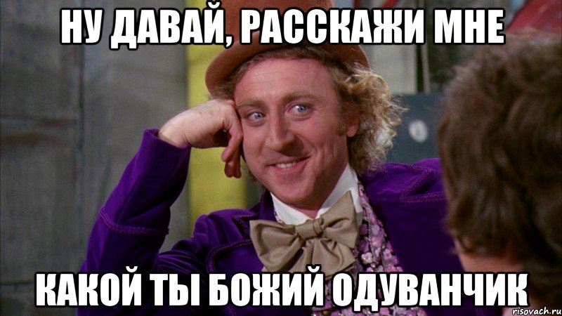 Ну давай, расскажи мне какой ты божий одуванчик, Мем Ну давай расскажи (Вилли Вонка)