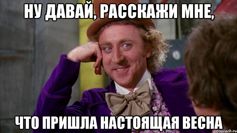 Ну давай, расскажи мне, что пришла настоящая весна, Мем Ну давай расскажи (Вилли Вонка)