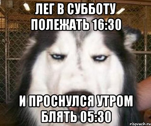 Лег в субботу полежать 16:30 И проснулся утром блять 05:30, Мем ну ок