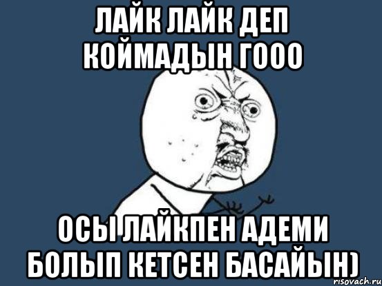 лайк лайк деп коймадын гооо осы лайкпен адеми болып кетсен басайын), Мем Ну почему