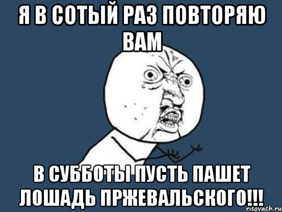 Я в сотый раз повторяю вам в субботы пусть пашет лошадь пржевальского!!!, Мем Ну почему