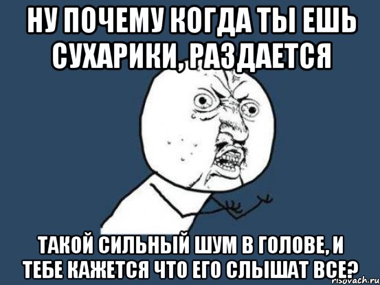 Ну почему когда ты ешь сухарики, раздается Такой сильный шум в голове, и тебе кажется что его слышат все?, Мем Ну почему