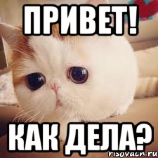 Привет! как дела?