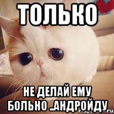 Только не делай ему больно ..андройду, Мем Няшный кот