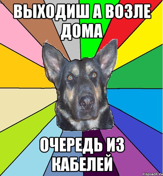выходиш а возле дома очередь из кабелей