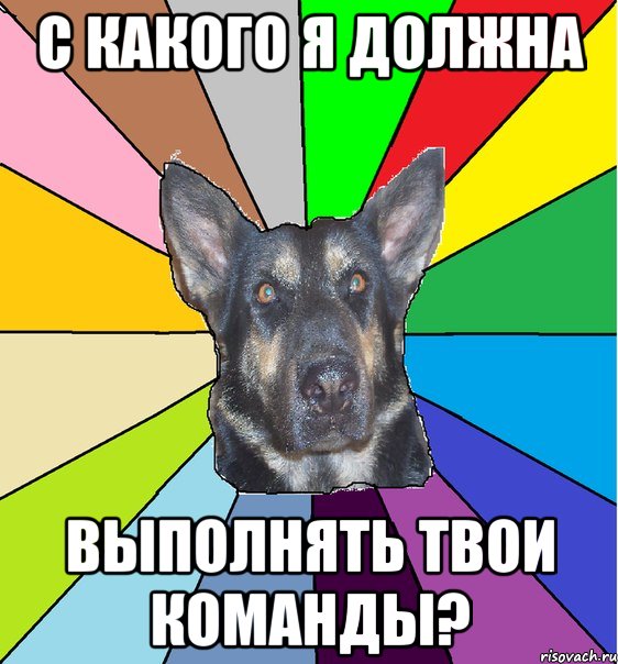 с какого я должна выполнять твои команды?, Мем Офигевшая собака