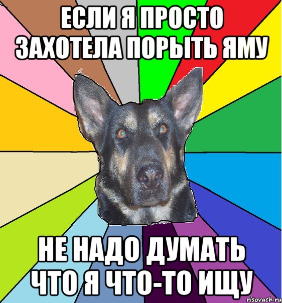 если я просто захотела порыть яму не надо думать что я что-то ищу, Мем Офигевшая собака