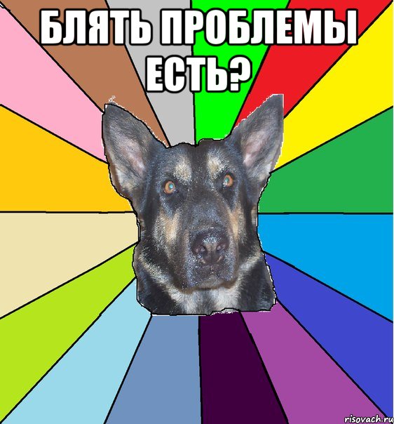 Блять проблемы есть? , Мем Офигевшая собака