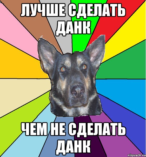 Лучше сделать данк чем не сделать данк, Мем Офигевшая собака