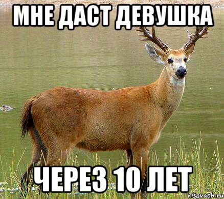 Мне даст девушка Через 10 лет, Мем олень года