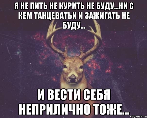 Я не пить не курить не буду...ни с кем танцеватьи и зажигать не буду... И вести себя неприлично тоже..., Мем  олень наивный