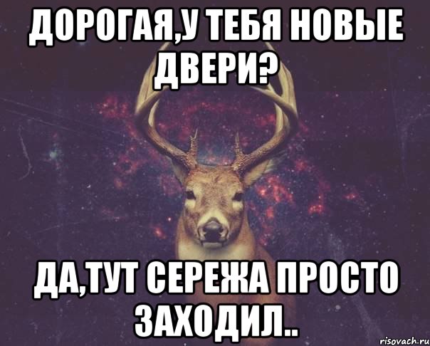 Дорогая,у тебя новые двери? Да,тут Сережа просто заходил.., Мем  олень наивный