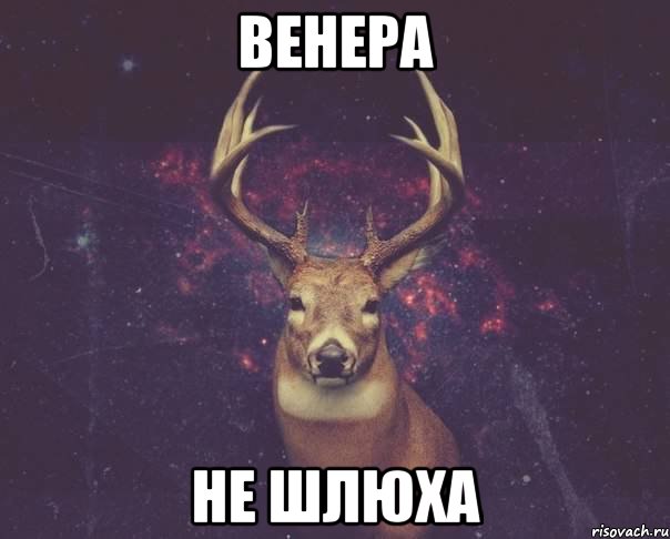 Венера Не шлюха