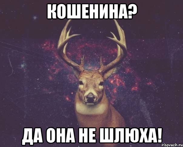 Кошенина? Да она не шлюха!