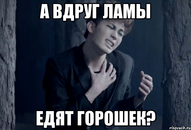 а вдруг ламы едят горошек?
