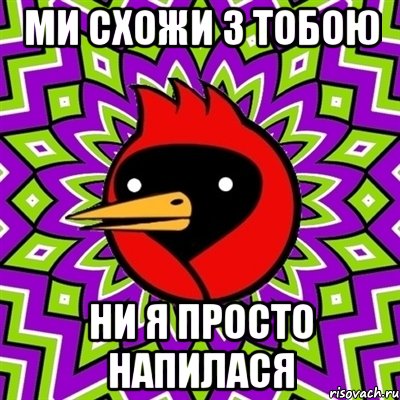 Ми схожи з тобою ни я просто напилася, Мем Омская птица