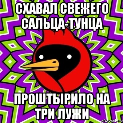 Схавал свежего сальца-тунца Проштырило на три лужи, Мем Омская птица