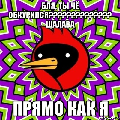 бля, ты чё обкурился?????????????? ШАЛАВА Прямо как я, Мем Омская птица